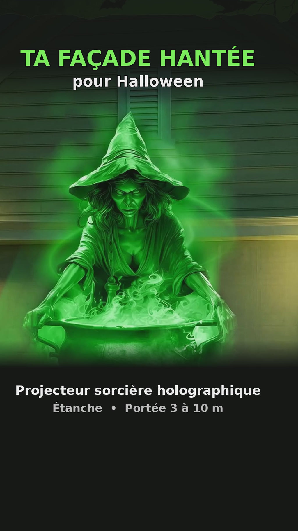 Projecteur Laser Halloween Sorcière – Effet Holographique Extérieur