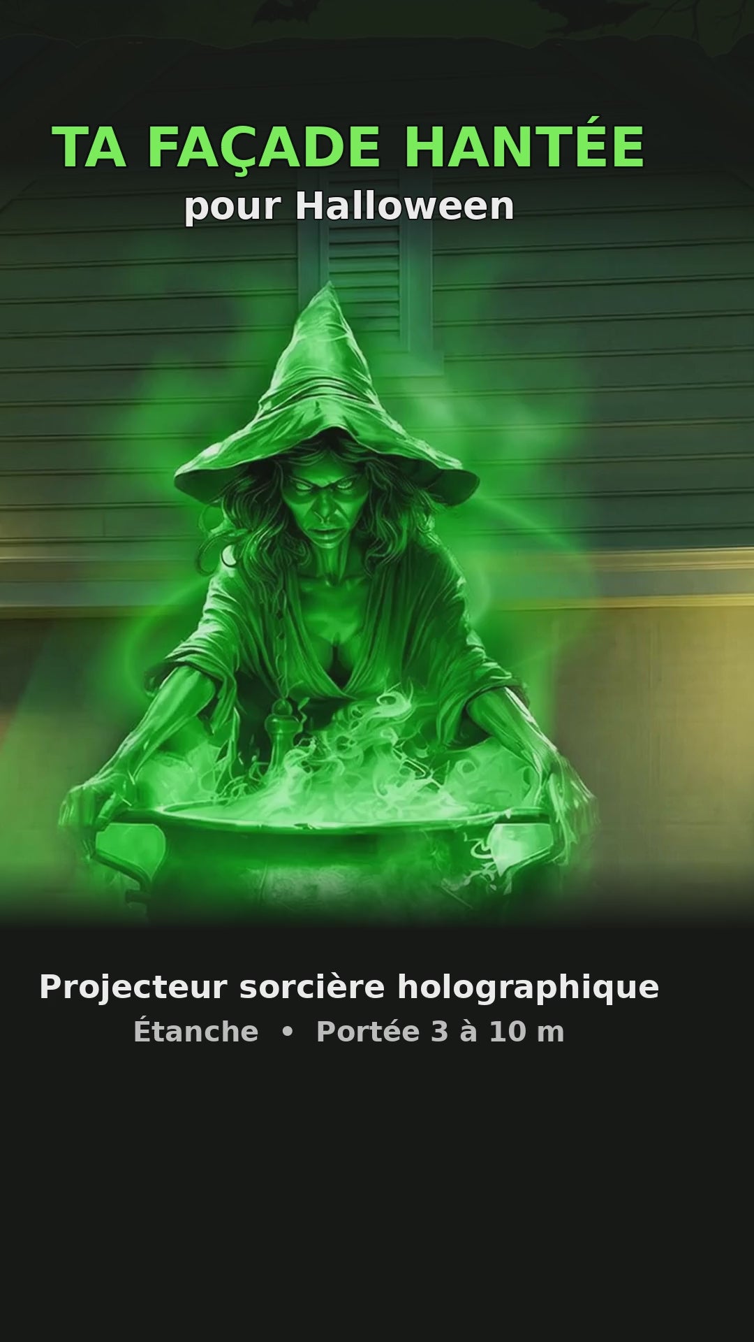 Projecteur Laser Halloween Sorcière – Effet Holographique Extérieur